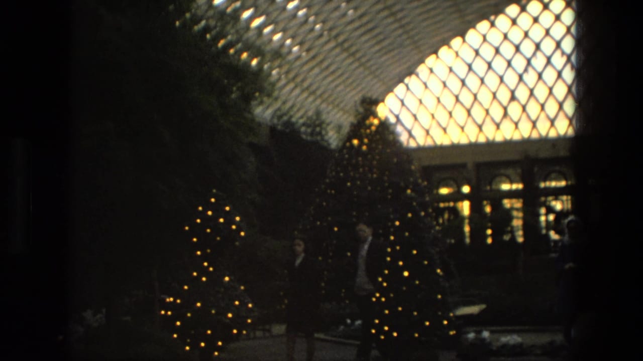 Illuminated Christmas trees and visitors beneath a diamond-patterned glass ceiling.