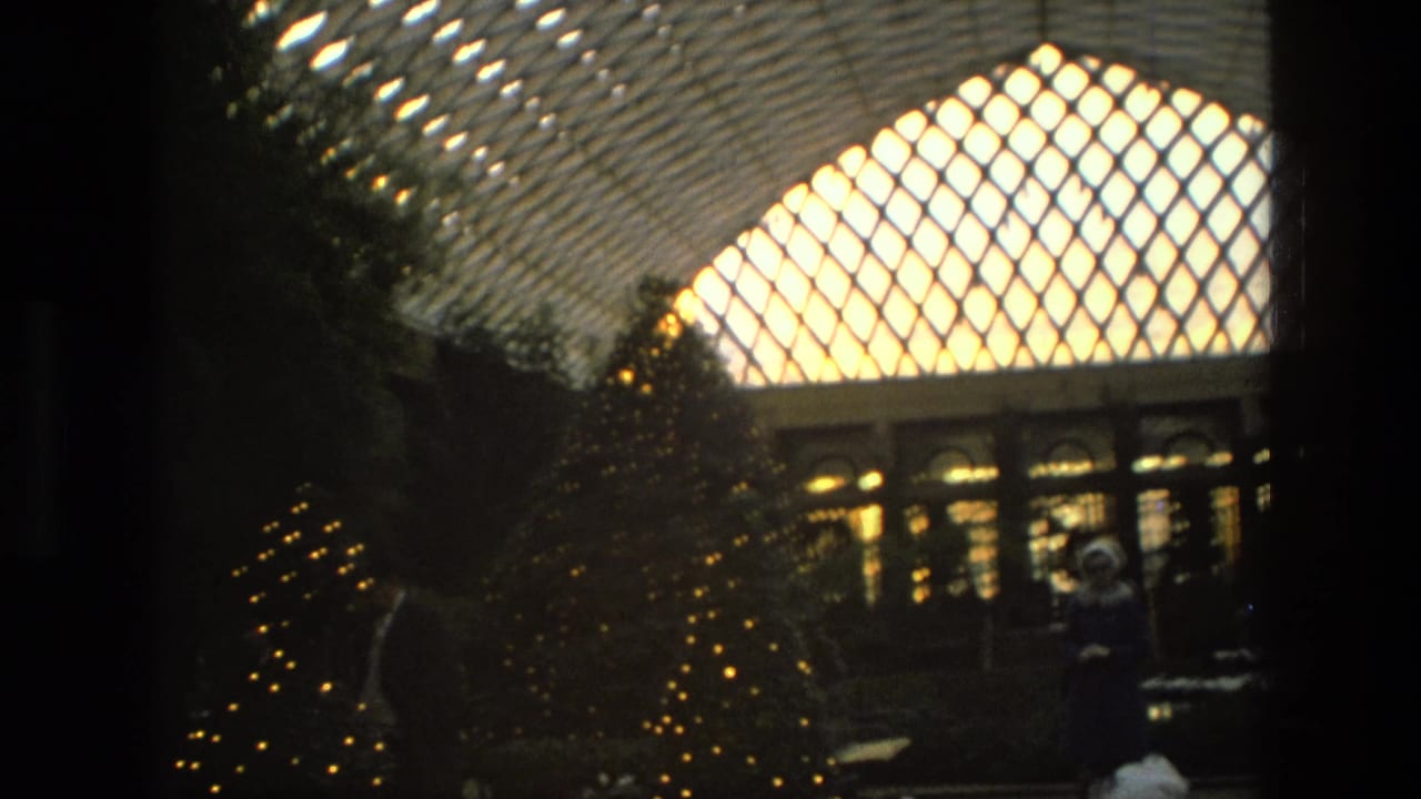 Decorated trees with yellow lights stand near visitors in a glass-roofed interior.