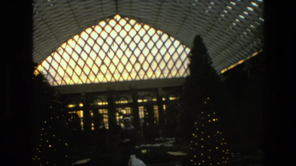 1972 Iran frame showing a visitor near a basin, small illuminated trees, dark plantings and a glowing diamond-pane roof.