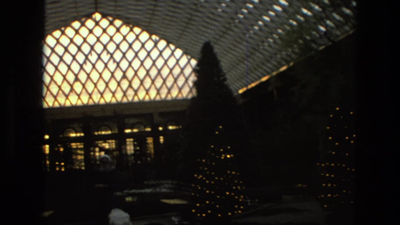 1972 Iran 8mm frame showing a dark interior garden or conservatory with a bright arched lattice roof and decorative lit trees.