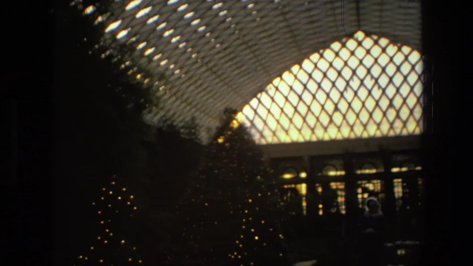 1972 Iran frame showing decorative evergreens with small lights beneath the bright lattice roof of an interior garden or conservatory.
