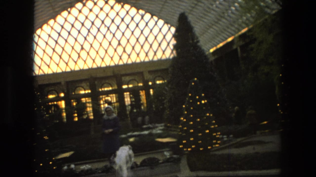 1972 Iran home-movie frame showing lit Christmas trees, a visitor, shrubs, and a fountain area under a patterned glass awning.