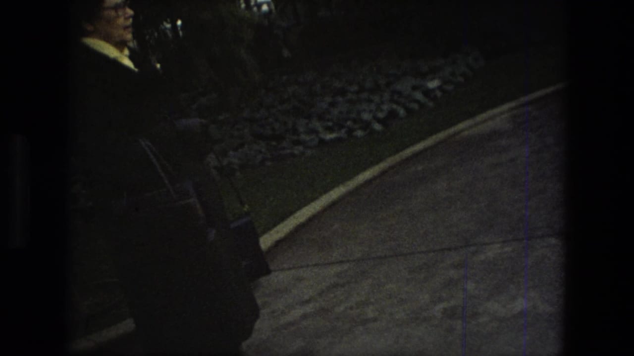 1972 Iran 8mm frame showing a dim indoor walkway, planted border, dark film edge, and a partially visible visitor at left.