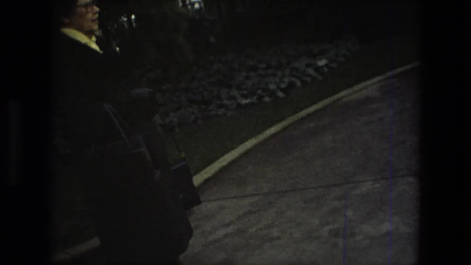 1972 Iran 8mm frame showing a dim indoor walkway, planted border, dark film edge, and a partially visible visitor at left.