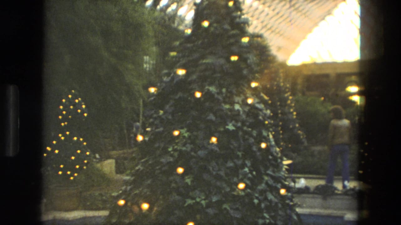 1972 Iran home-movie frame with glowing Christmas tree lights, indoor greenery, a patterned glass roof, and visitors in the background.