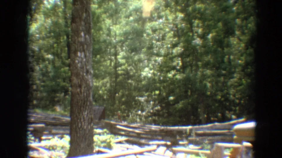 1968 Branson home-movie frame of the wooded trolley route after the red car has passed, showing trees, rails, and fencing.