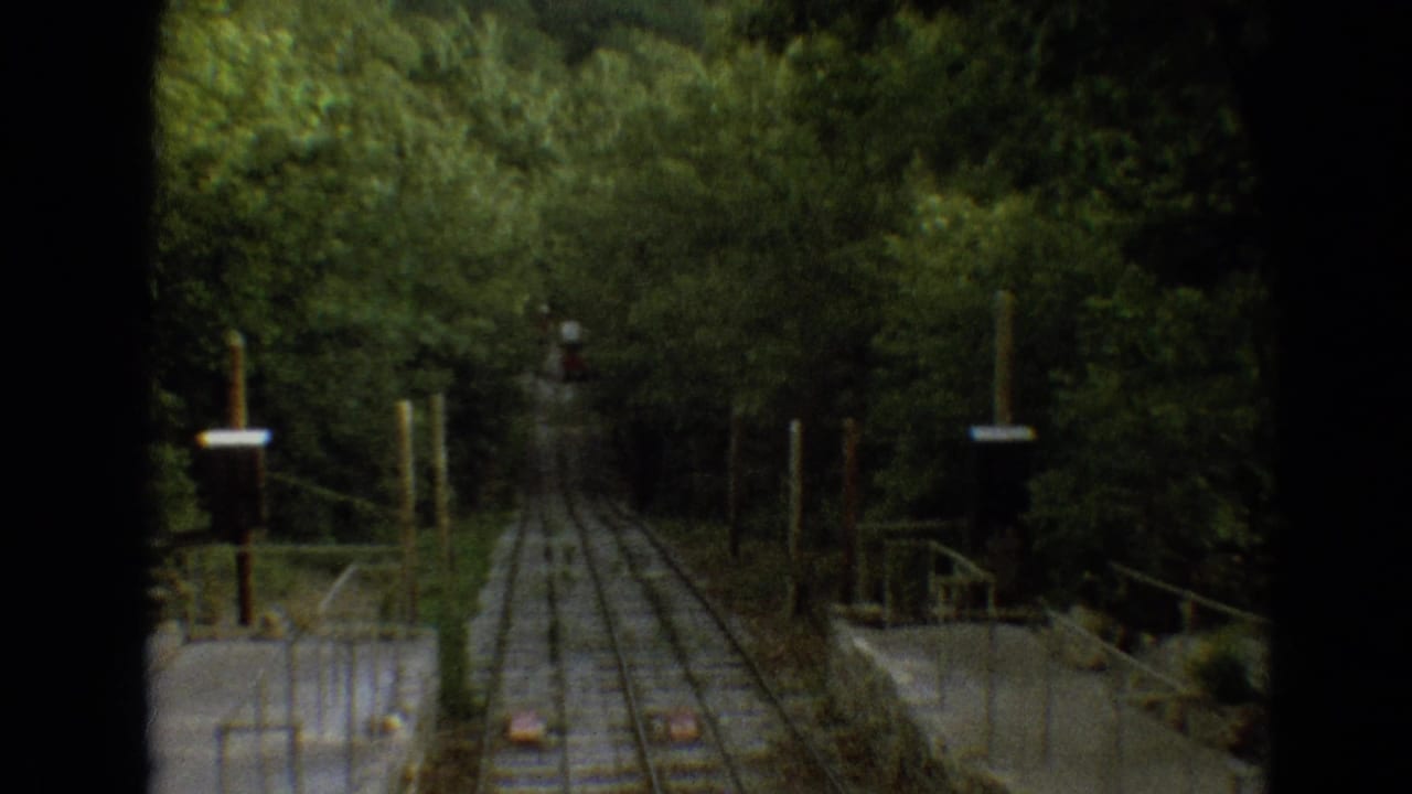 Wooded Branson attraction view looking down narrow railway tracks with small signal posts and railings on both sides.