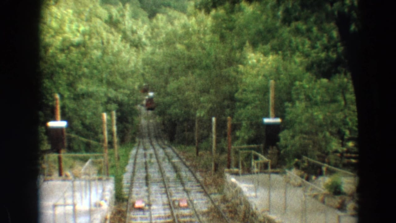 Forested incline railway track with a small red rail car far up the slope.