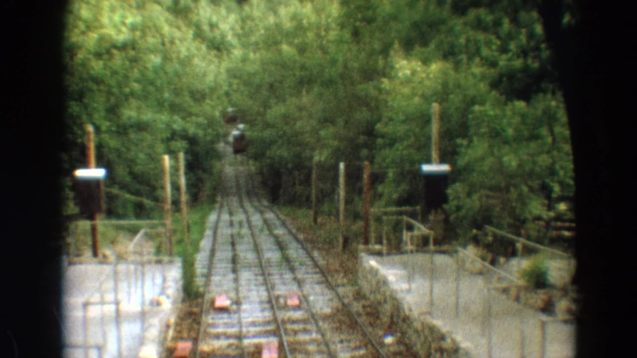 Small red rail car approaching along twin tracks through dense trees.
