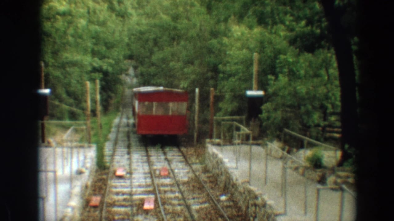 Red trolley centered on tracks with trees, railings, and platform edges around it.