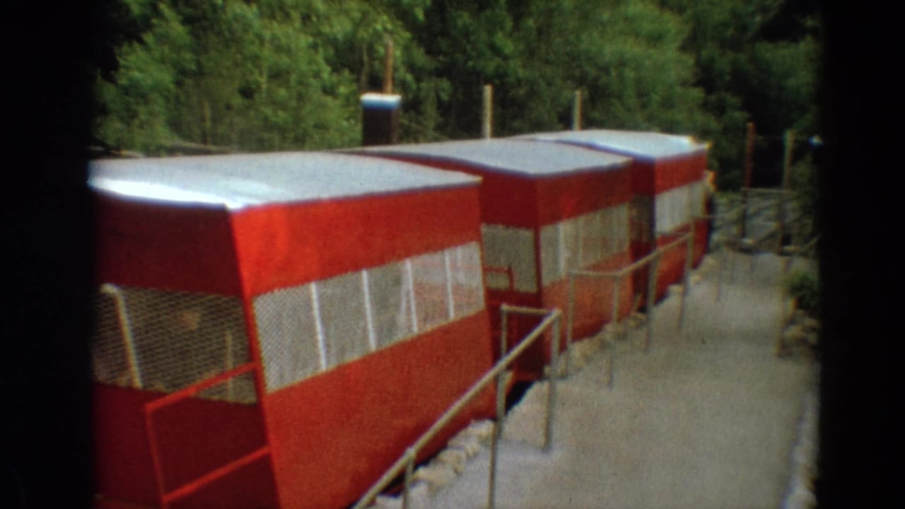 Red tourist tram cars at a Branson attraction in 1968, seen from a slightly elevated home-movie viewpoint.