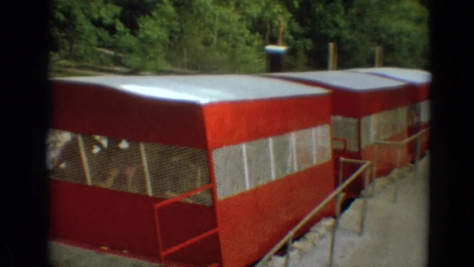 A red tram car in 1968 Branson footage shows seated passengers behind mesh side panels as unloading begins.