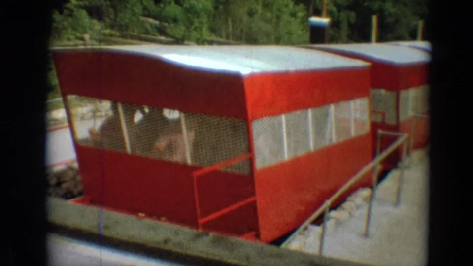 Seated passengers appear inside the red tram at the Branson attraction, with railings, gravel, and trees around the cars.