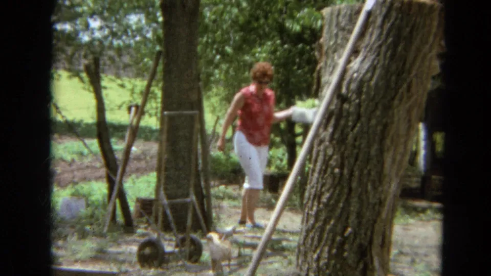The woman walks past a large tree with a white container while a small dog is visible near the ground in the Branson yard.