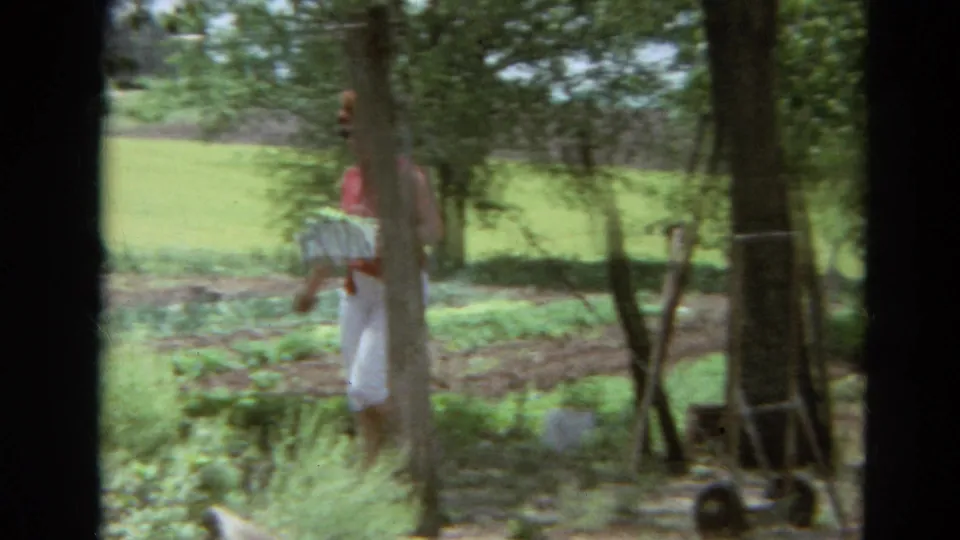 A tree trunk partially blocks the woman as she carries plants through a wooded Missouri backyard in 1968 home-movie footage.
