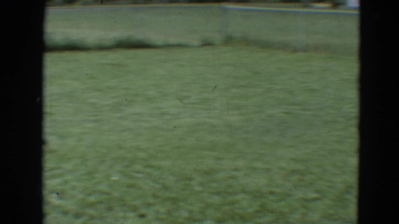 Sunlit grass field with a chain-link fence in the background.