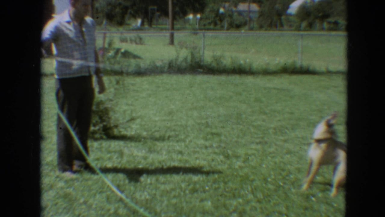 Man standing on a lawn with a hose as a brown dog moves near the water spray.