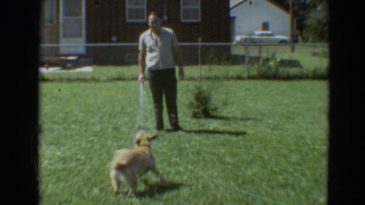 A yellow dog faces a man spraying water across a Branson backyard lawn, with a brick house and fence behind them.