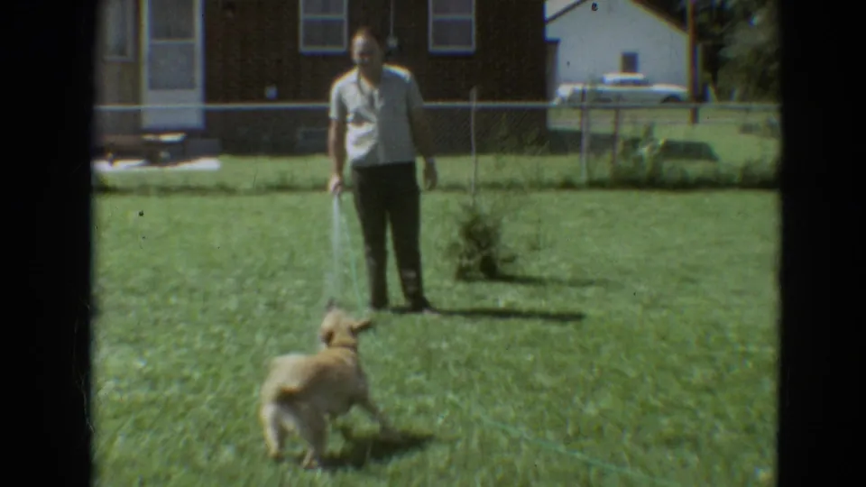A yellow dog faces a man spraying water across a Branson backyard lawn, with a brick house and fence behind them.