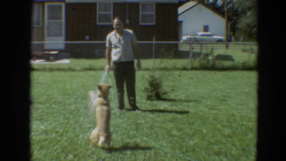 The yellow dog jumps up toward the hose spray while the man stands on the lawn in 1968 Branson home-movie footage.
