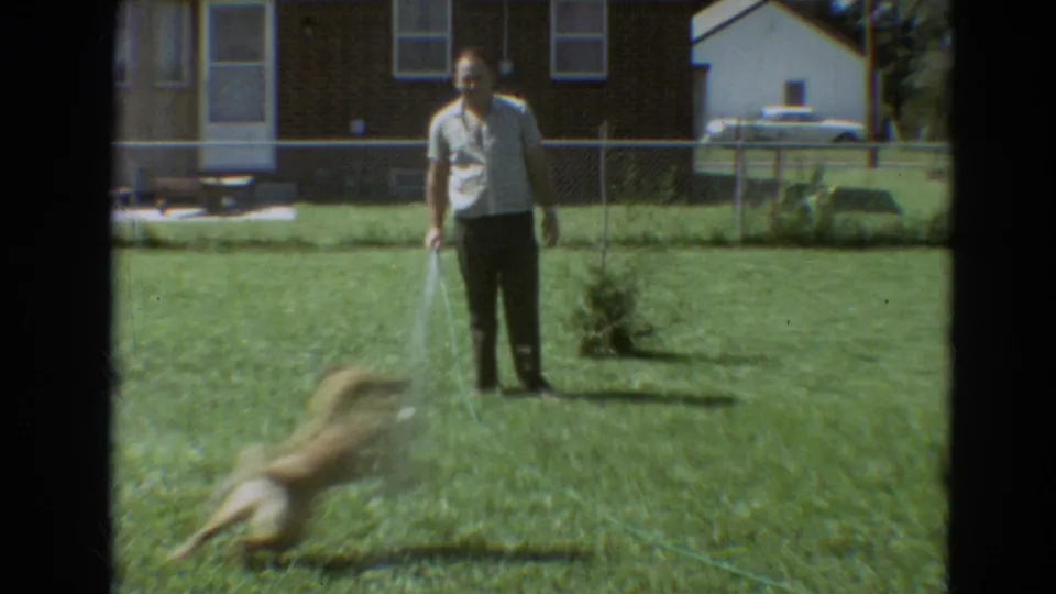 A yellow dog blurs in motion across a green lawn as the man continues spraying water in the Missouri backyard scene.