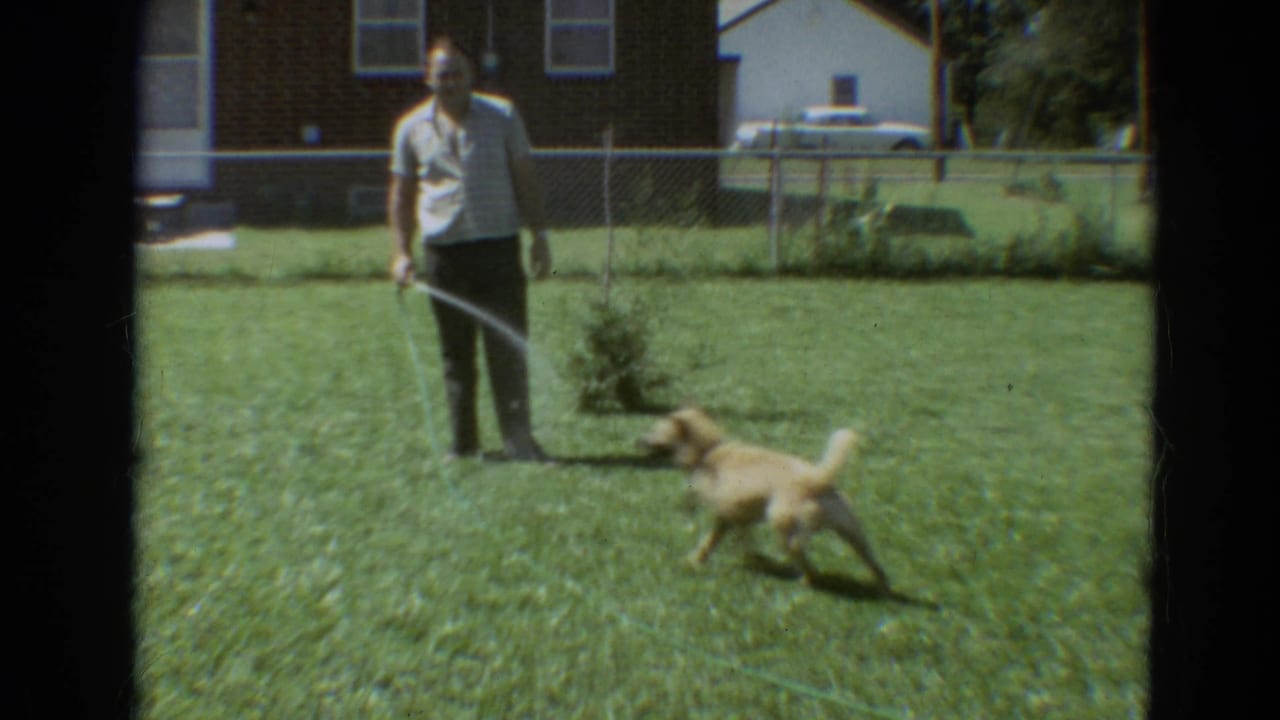 In 1968 Branson, Missouri home-movie footage, a man sprays water from a hose as a golden dog runs across the grass near a brick house.