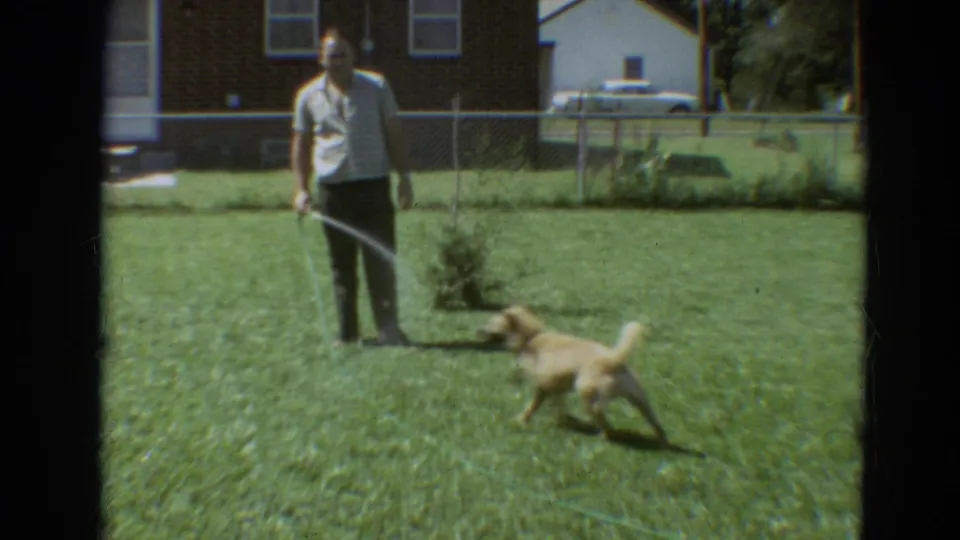In 1968 Branson, Missouri home-movie footage, a man sprays water from a hose as a golden dog runs across the grass near a brick house.