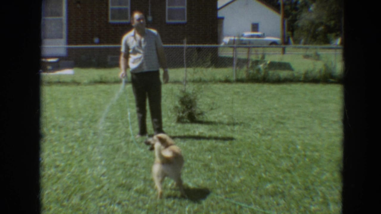The dog turns toward the hose stream as the man stands in a sunlit Branson backyard, with a fence, brick house, and car behind them.