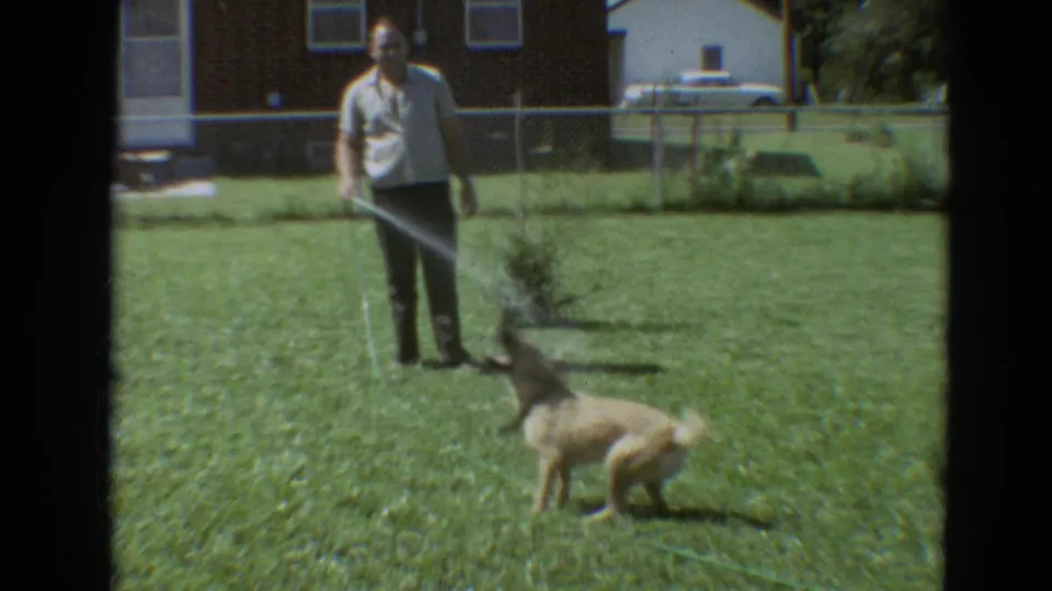 A golden dog crouches and looks up at the hose stream while the man waters or plays in a 1968 suburban backyard scene.