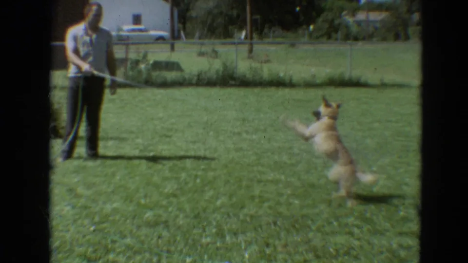 The dog rises on its hind legs toward the sprayed water as the man holds the garden hose in the Branson backyard.