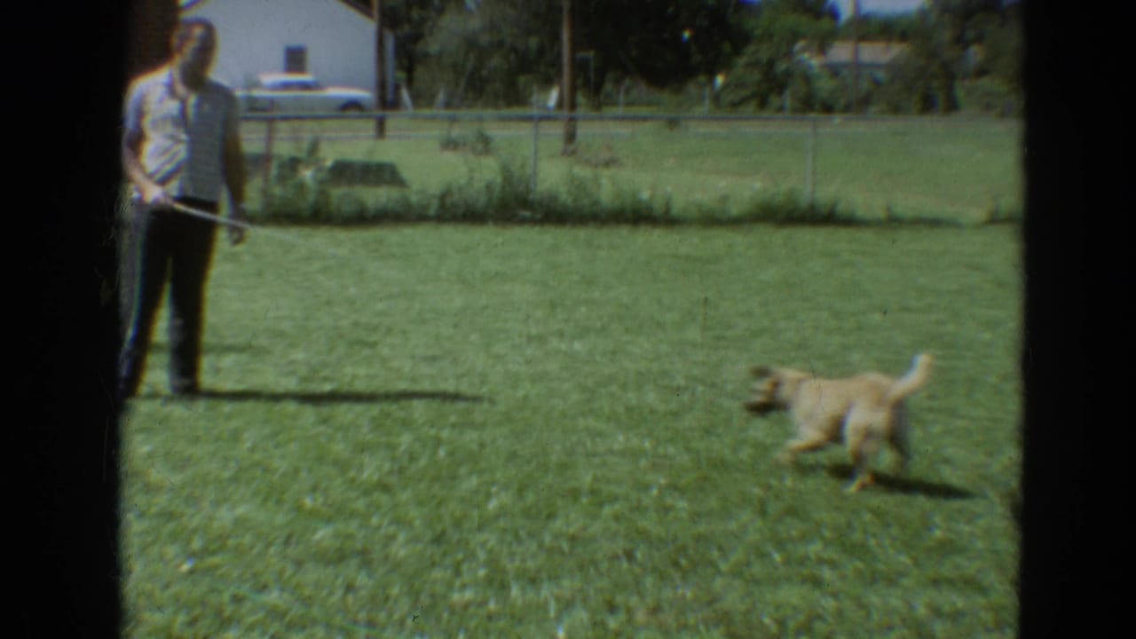 In a 1968 Branson, Missouri backyard scene, a man holds a hose while a light-colored dog runs across the grass.