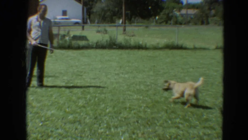 In a 1968 Branson, Missouri backyard scene, a man holds a hose while a light-colored dog runs across the grass.