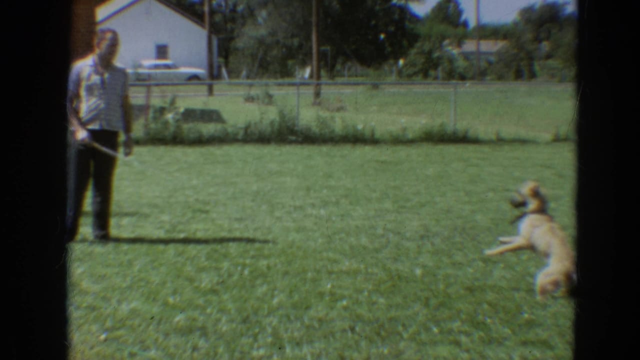 A light-colored dog reacts playfully on a Branson lawn while a man with a hose stands near the fence line.