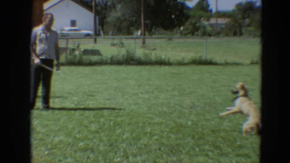 A light-colored dog reacts playfully on a Branson lawn while a man with a hose stands near the fence line.