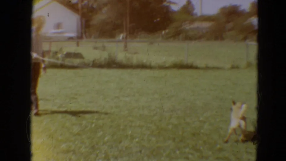 The man remains partly at frame edge as the light-colored dog faces the hose across the grassy Missouri backyard.