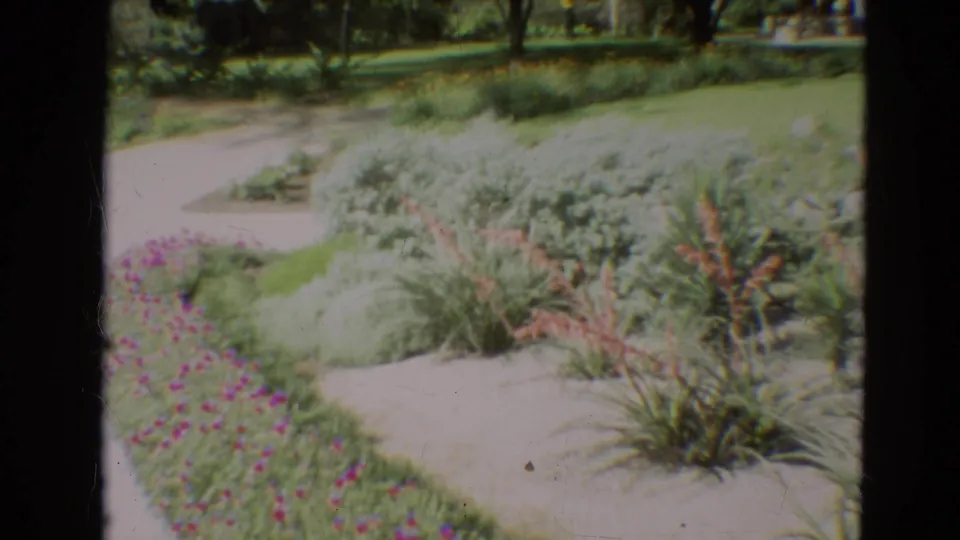 1968 Branson, Missouri garden scene with winding paths, flowering edges, shrubs, and sunlit lawn in 8mm color footage.