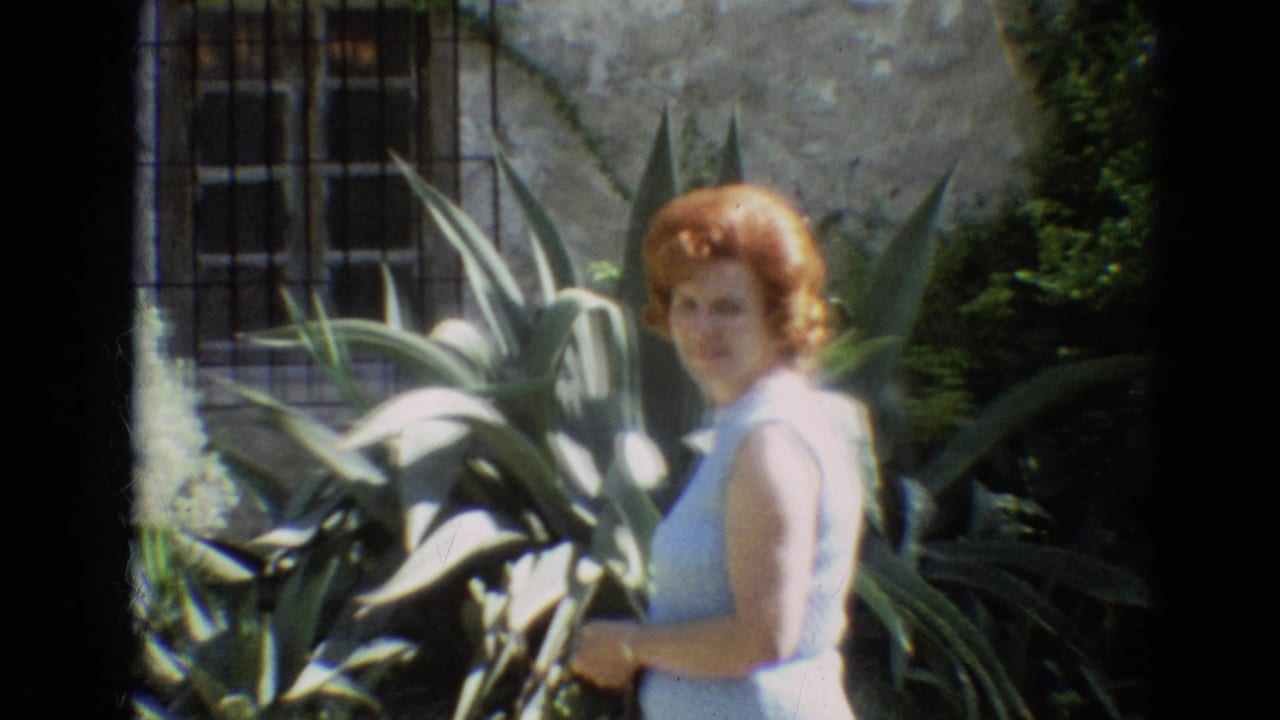 Woman in a light blue sleeveless dress stands near large succulents and a stone wall.