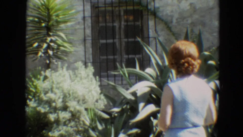 The woman in a blue dress is seen from behind in the Branson garden, walking past succulents, pale foliage, and a barred window.
