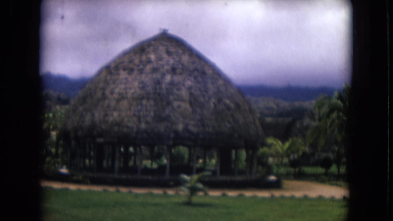 Thatched cabana on a lawn with palms and distant hills under a cloudy sky.