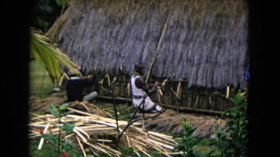 1968 Honolulu frame showing two workers or demonstrators beside a thatched roof, surrounded by plant material, poles, and landscaped greenery.