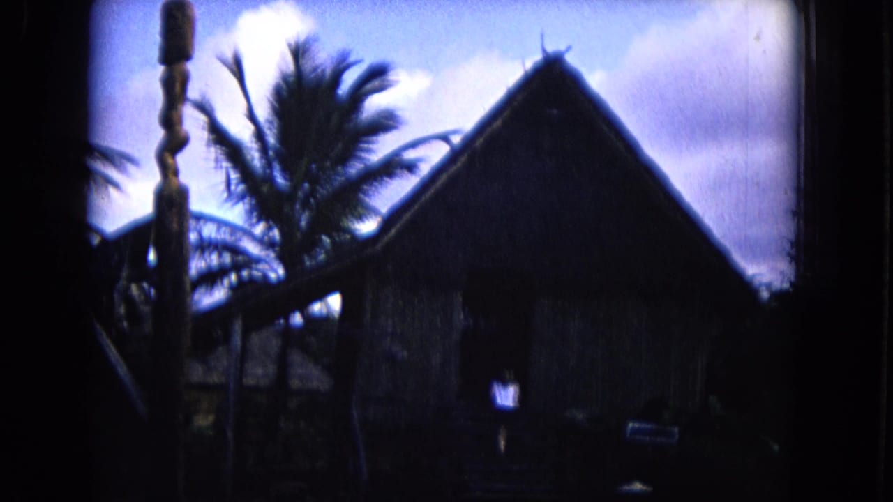 Thatched-roof hut partly silhouetted among palm trees in a dark tropical setting.