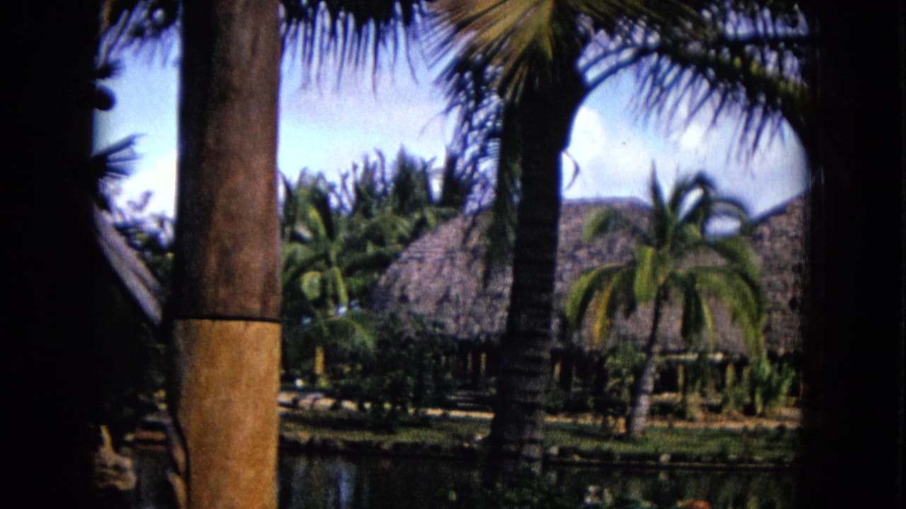 Palm trees and thatched roofs beside water, framed by a wooden post.