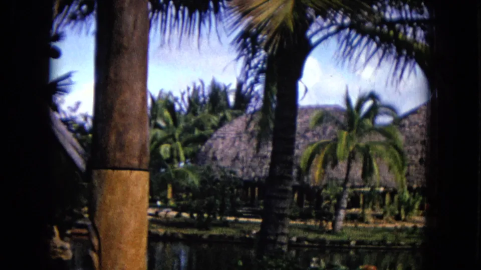 1968 Honolulu home-movie view of palms, thatched structures, and water seen from a shaded foreground.