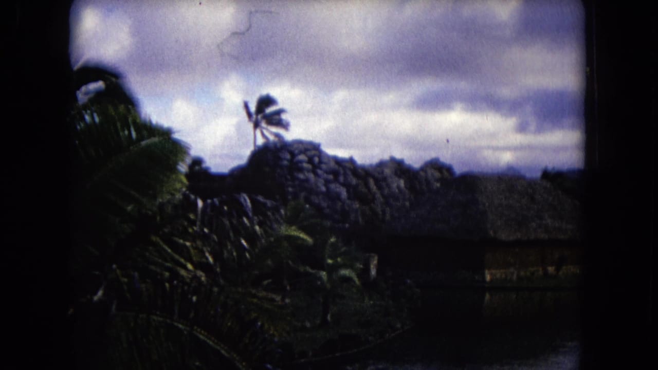Palm foliage and a thatched-roof structure under a cloudy sky.