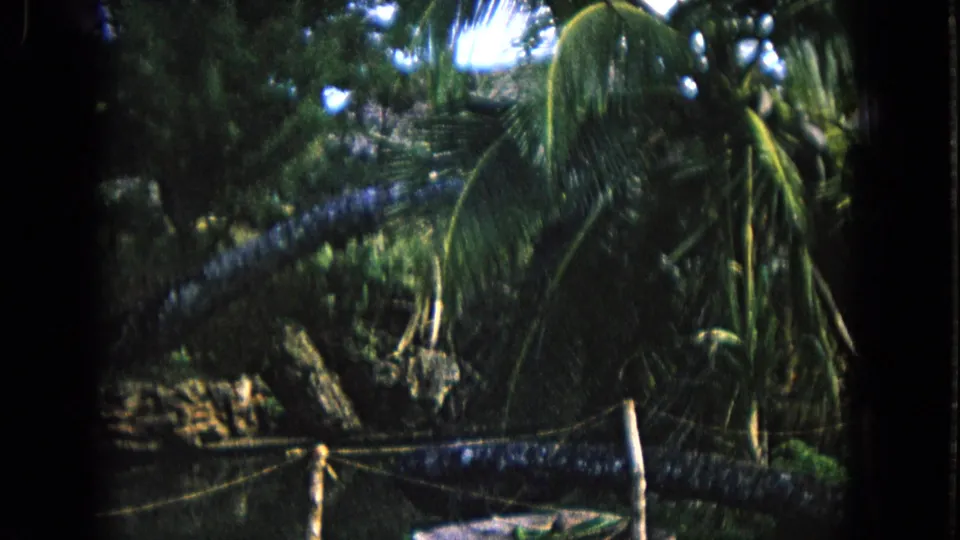 1968 Honolulu home-movie frame with palms, undergrowth, and a low fence across the lower foreground.
