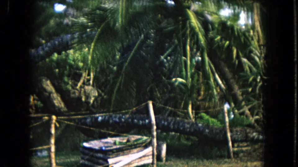 1968 Honolulu 8mm frame showing a small boat below palms and dense tropical vegetation.