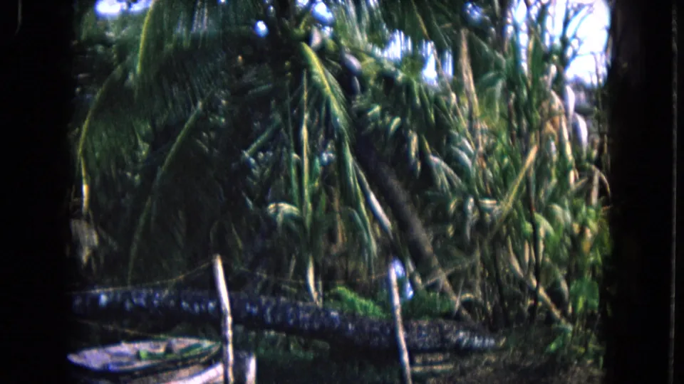 1968 Honolulu home-movie frame with a small boat near a fence and thick palms in shade.