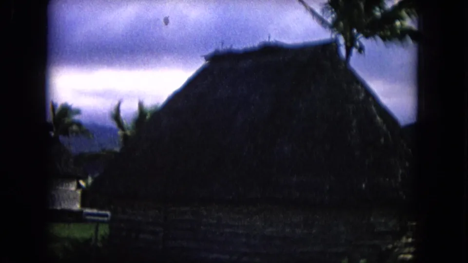 1968 Honolulu home-movie frame of a dark thatched hut, palms, vegetation, and distant landscape under cloud cover.