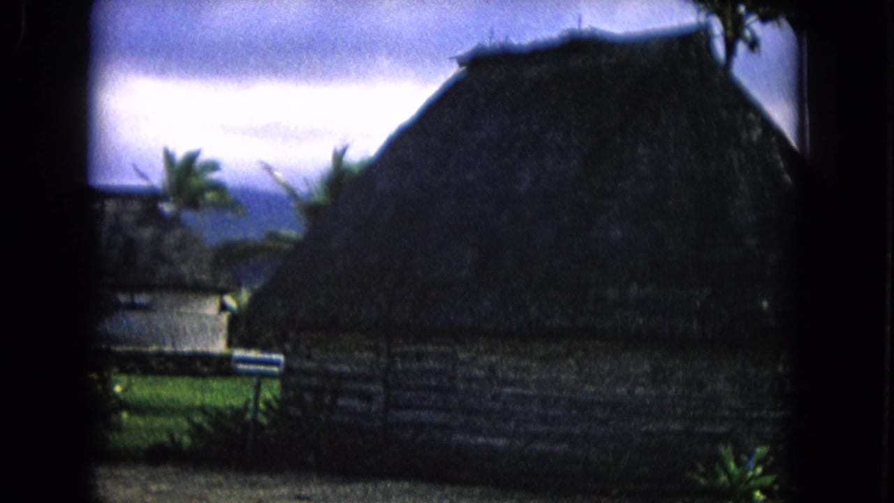 Thatched huts and palm trees under a cloudy sky, seen through dark 8mm frame edges.