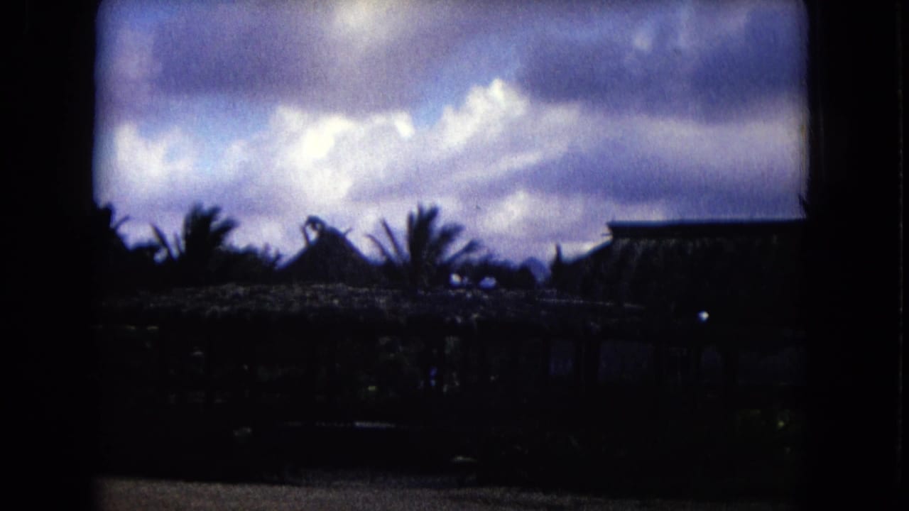 Dark thatched huts and palm silhouettes beneath a cloudy sky.